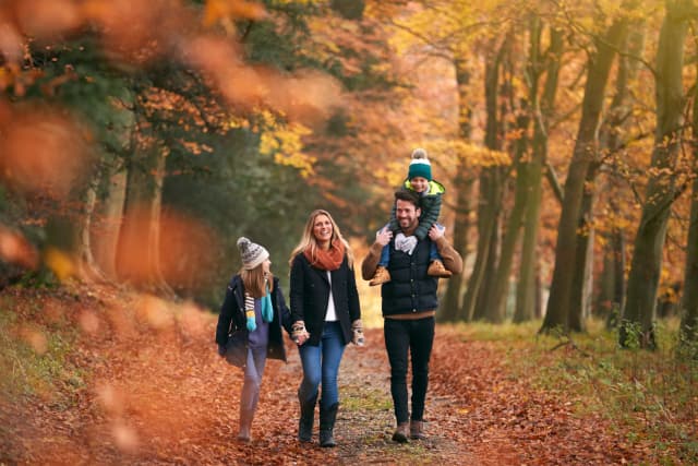 Fall Bucket List: 20 Things to Do in Canada This Autumn for Under $50